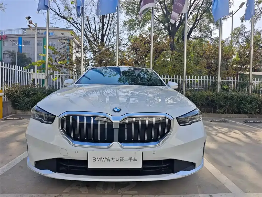 BMW 5 Series 2024 из CN, фото 2
