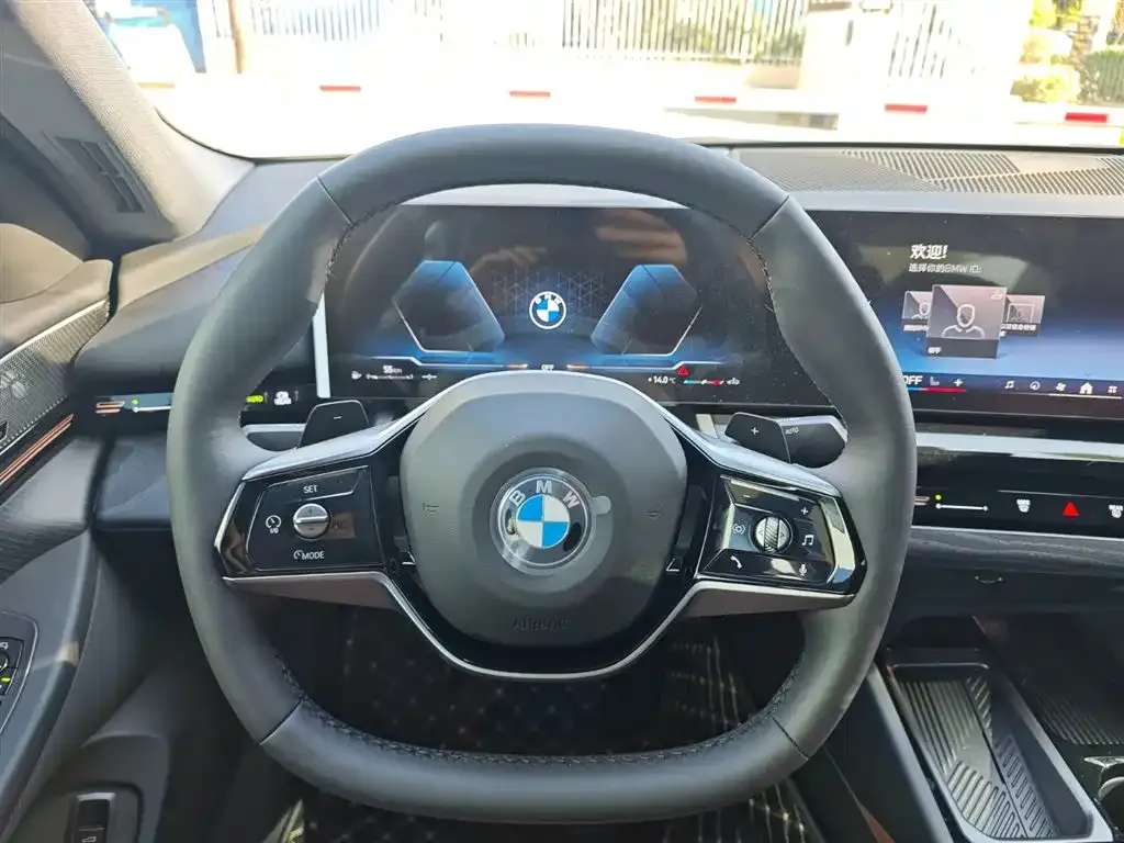 BMW 5 Series 2024 из CN, фото 7