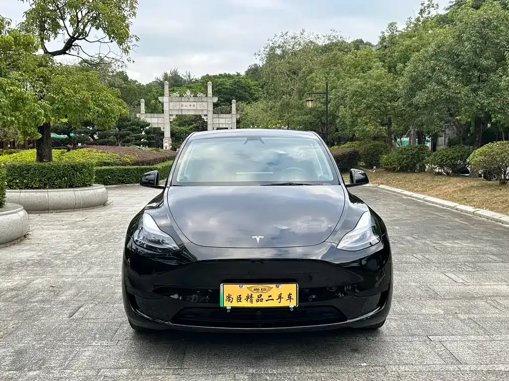 Tesla Model Y 2023 из CN, фото 2