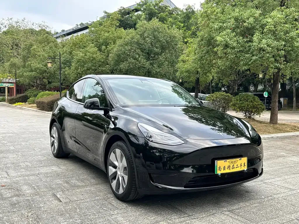 Tesla Model Y 2023 из CN, фото 3