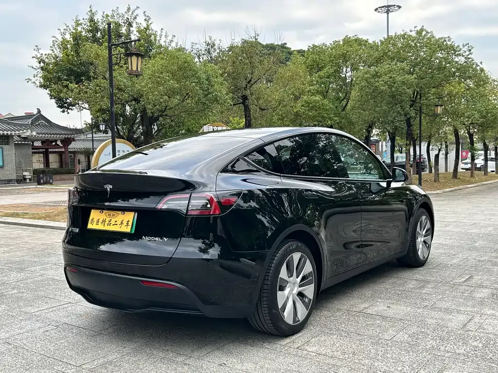 Tesla Model Y 2023 из CN, фото 5