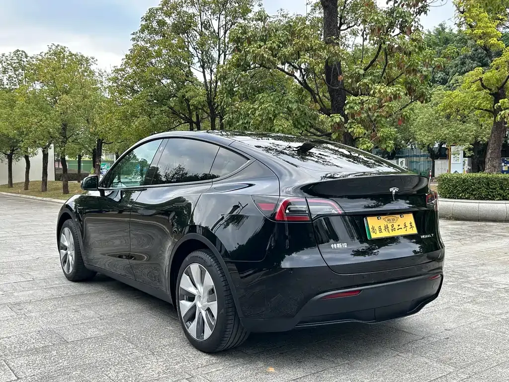 Tesla Model Y 2023 из CN, фото 6