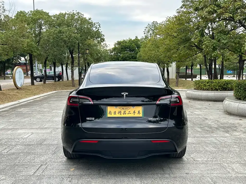 Tesla Model Y 2023 из CN, фото 7