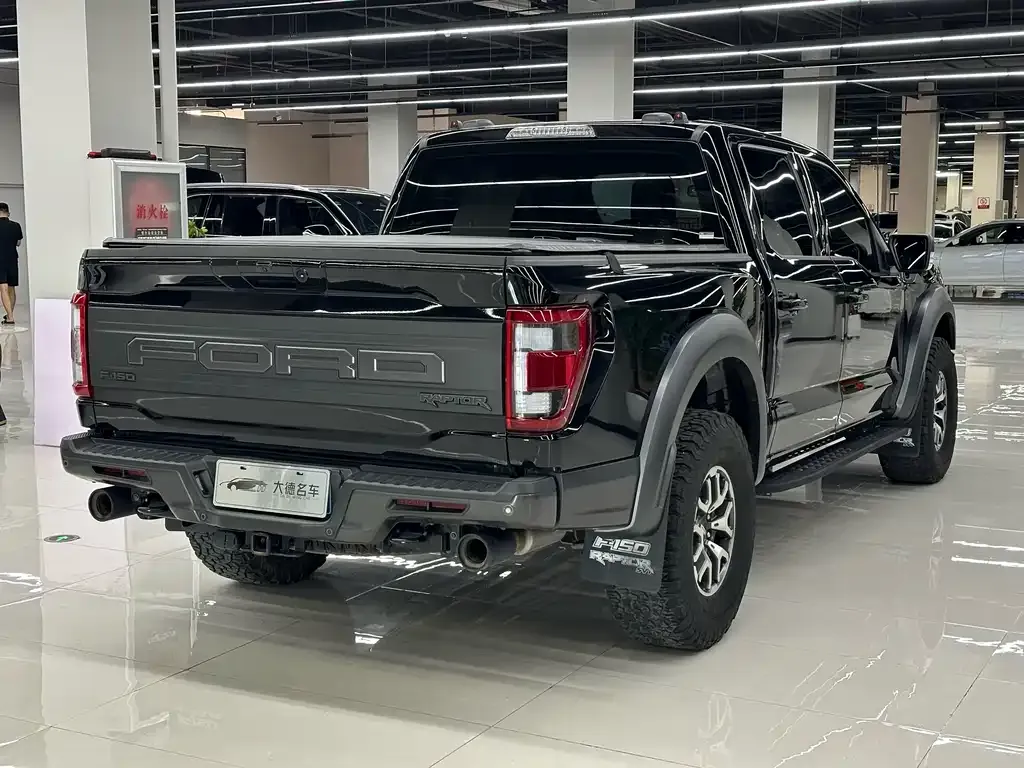 Ford F-150 Raptor 2023 из CN, фото 5