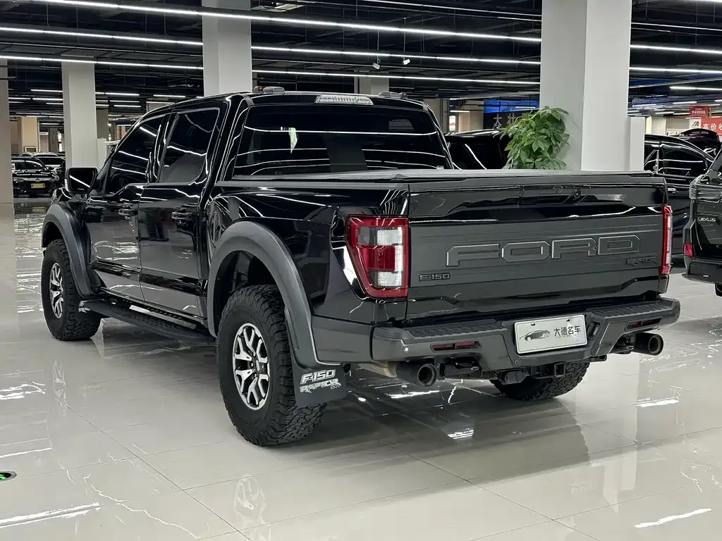 Ford F-150 Raptor 2023 из CN, фото 6