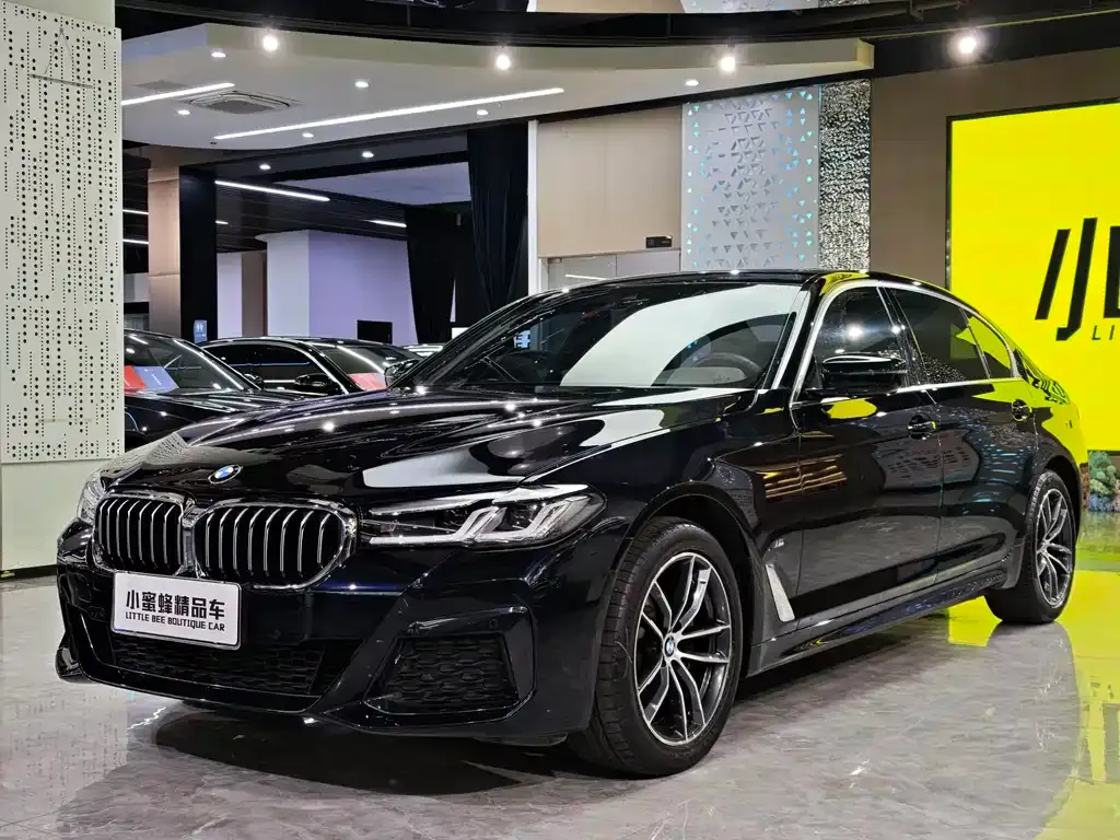 BMW 5 Series 2021 из CN, фото 1