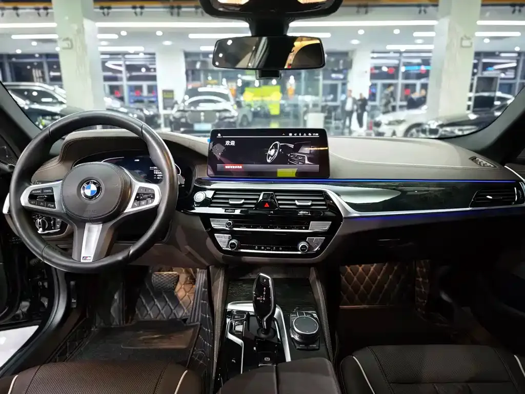 BMW 5 Series 2021 из CN, фото 10