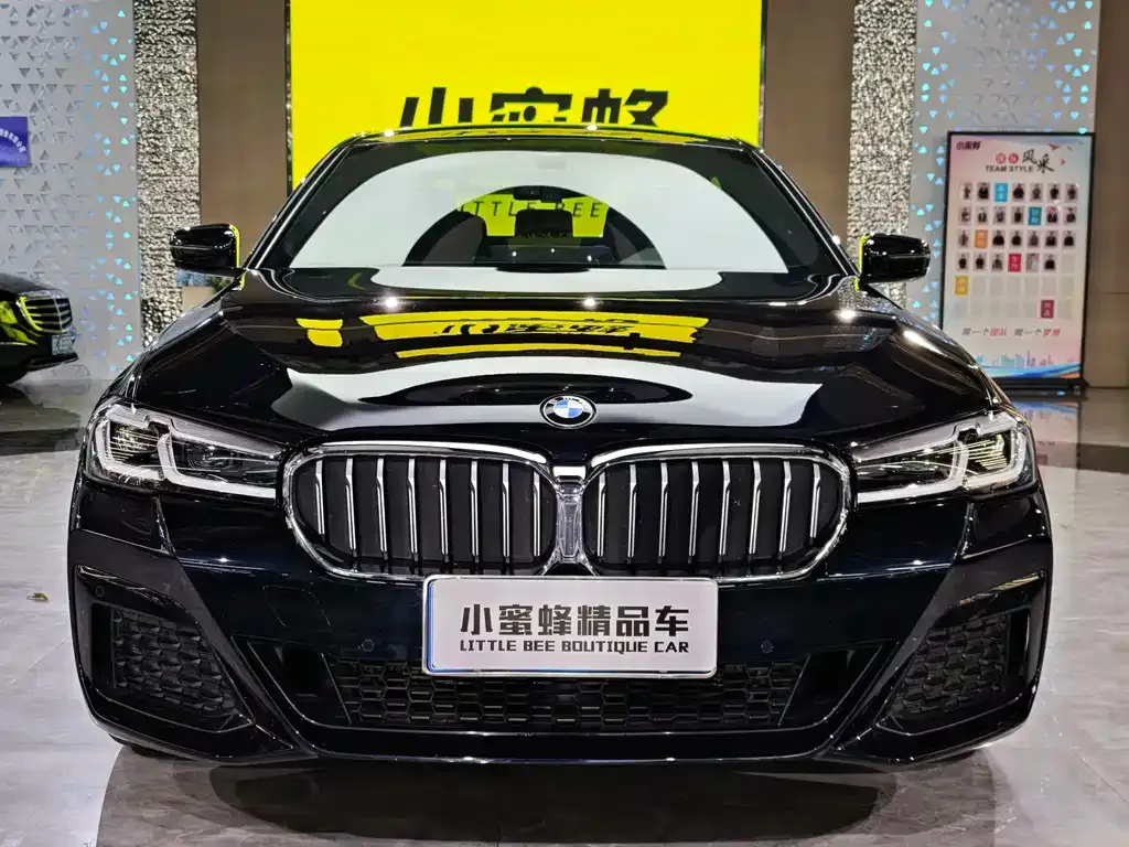 BMW 5 Series 2021 из CN, фото 2