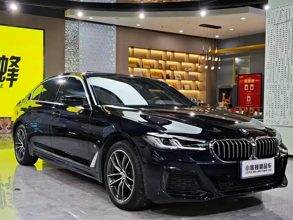 BMW 5 Series 2021 из CN, фото 3
