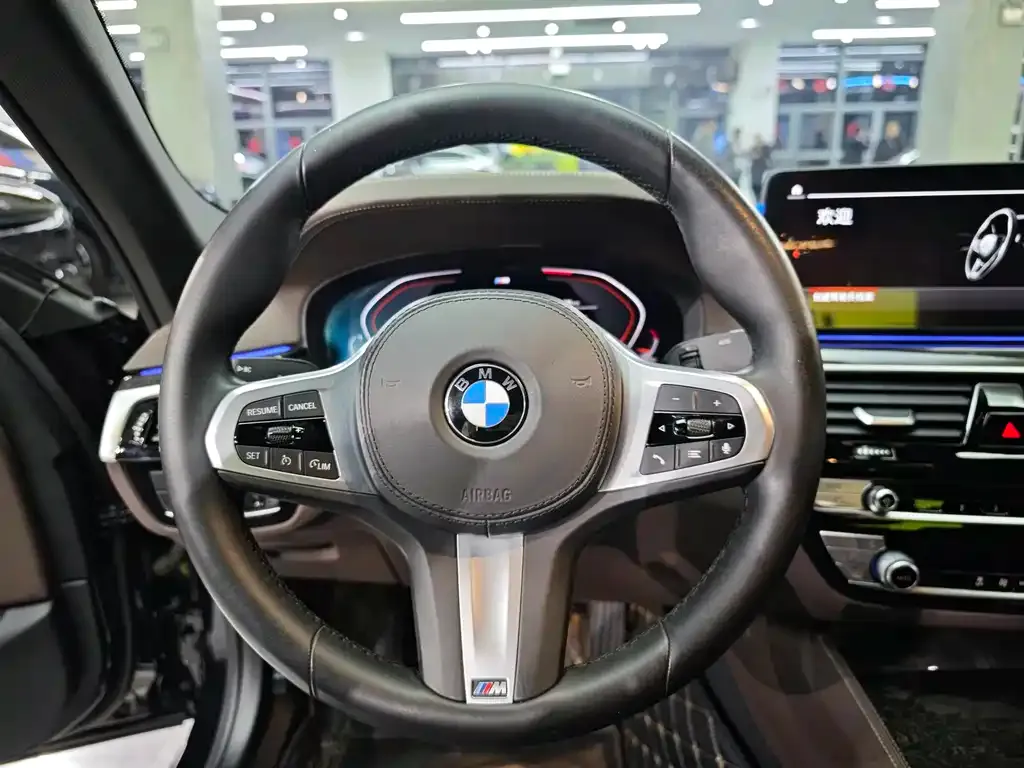 BMW 5 Series 2021 из CN, фото 8