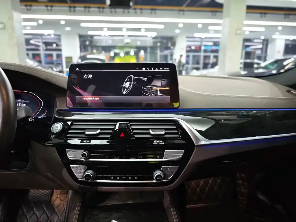 BMW 5 Series 2021 из CN, фото 9