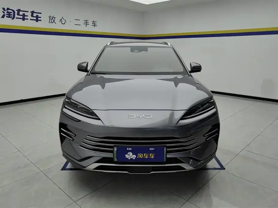 BYD PLUS New Energy 2024 из CN, фото 2