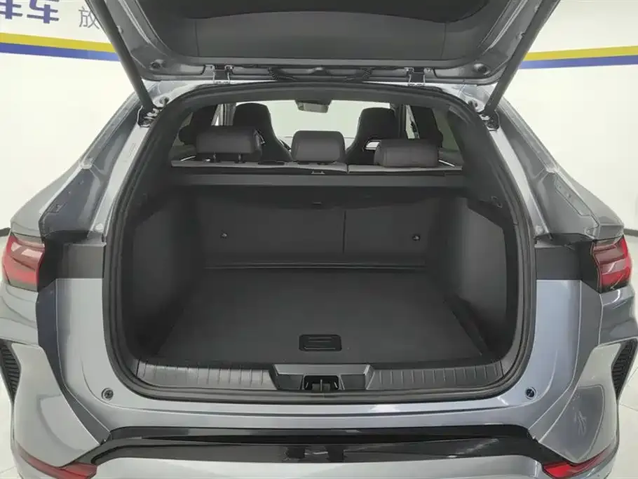 BYD PLUS New Energy 2024 из CN, фото 4