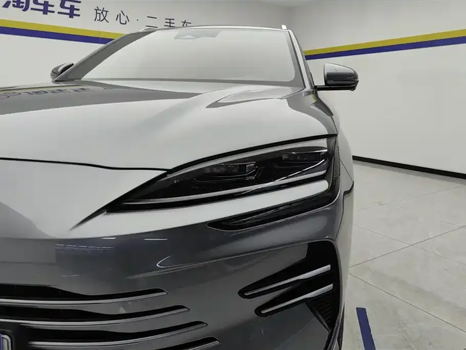 BYD PLUS New Energy 2024 из CN, фото 5