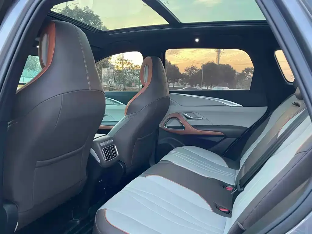 BYD Pro New Energy 2022 из CN, фото 7