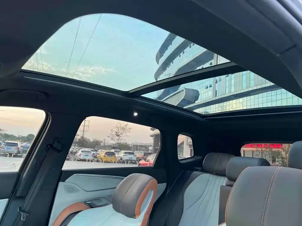 BYD Pro New Energy 2022 из CN, фото 8
