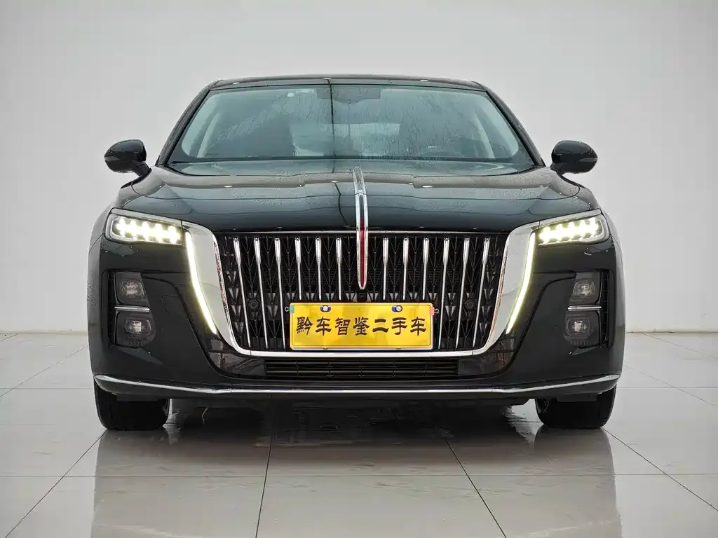 Hongqi H5 2024 из CN, фото 2