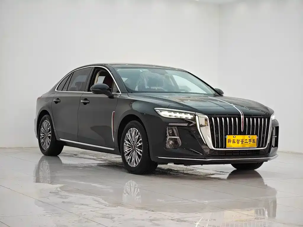 Hongqi H5 2024 из CN, фото 3