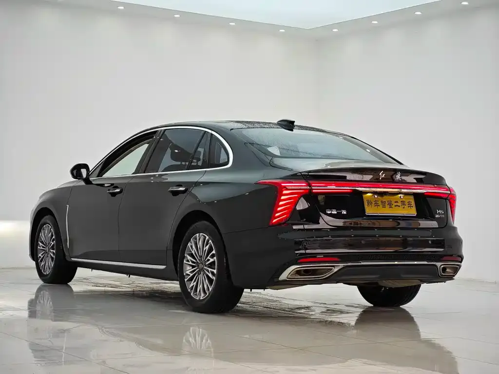 Hongqi H5 2024 из CN, фото 4