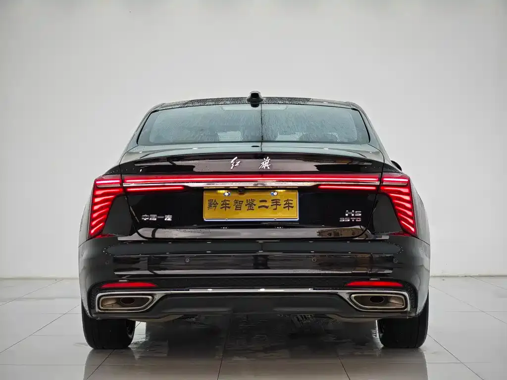 Hongqi H5 2024 из CN, фото 5