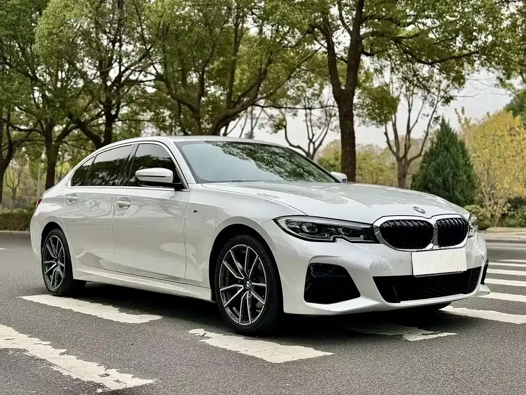 BMW 3 Series 2021 из CN, фото 3