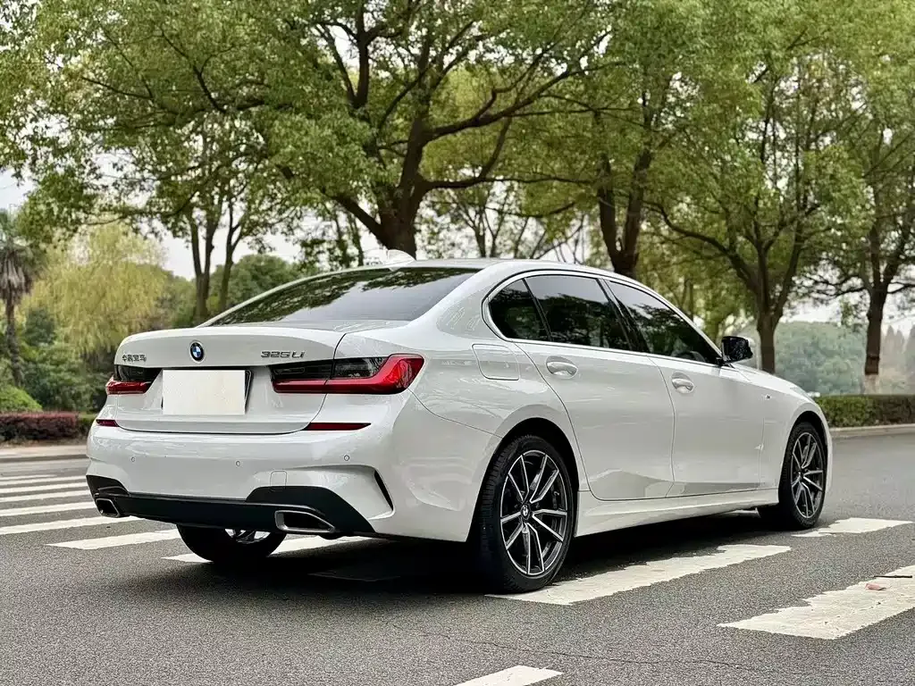 BMW 3 Series 2021 из CN, фото 7