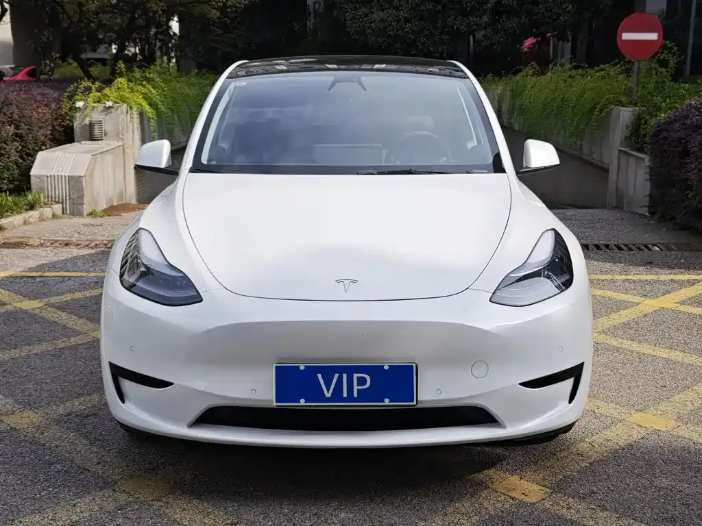 Tesla Model Y 2023 из CN, фото 2