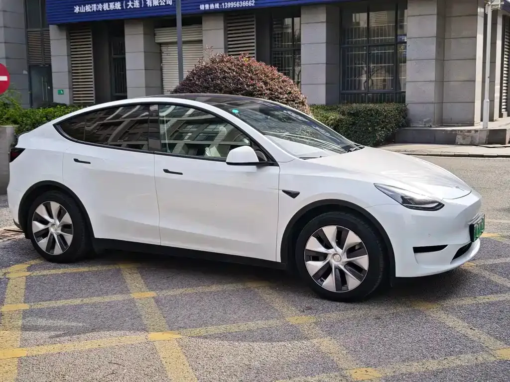Tesla Model Y 2023 из CN, фото 3