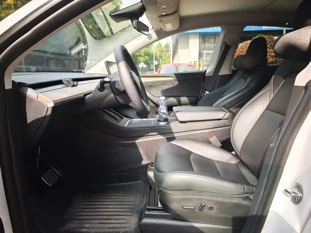 Tesla Model Y 2023 из CN, фото 4