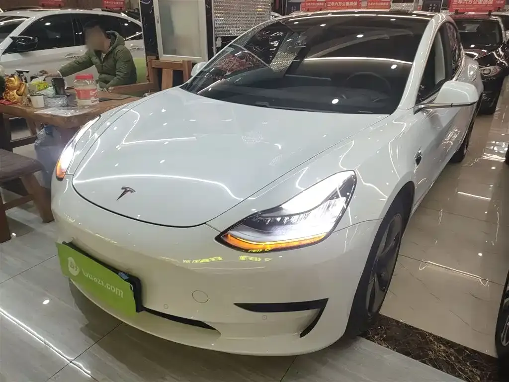 Tesla Model 3 2021 из CN, фото 1