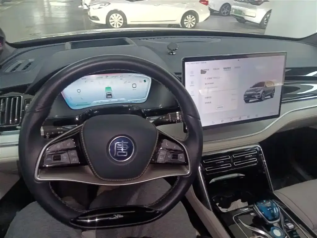 BYD Tang New Energy 2022 из CN, фото 10