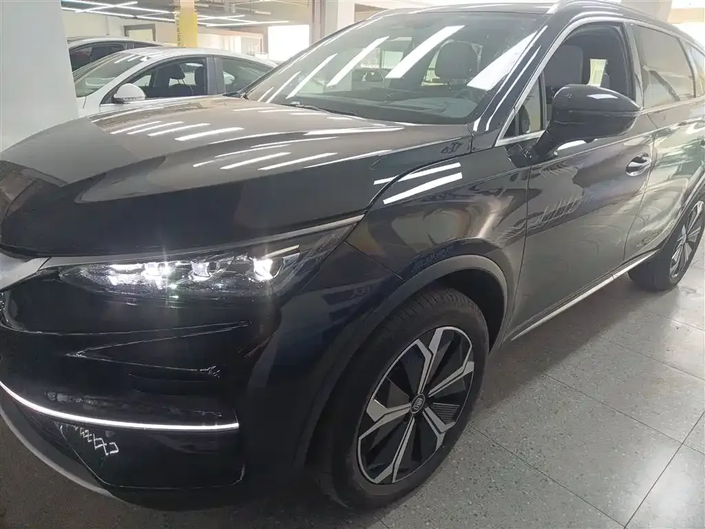 BYD Tang New Energy 2022 из CN, фото 2