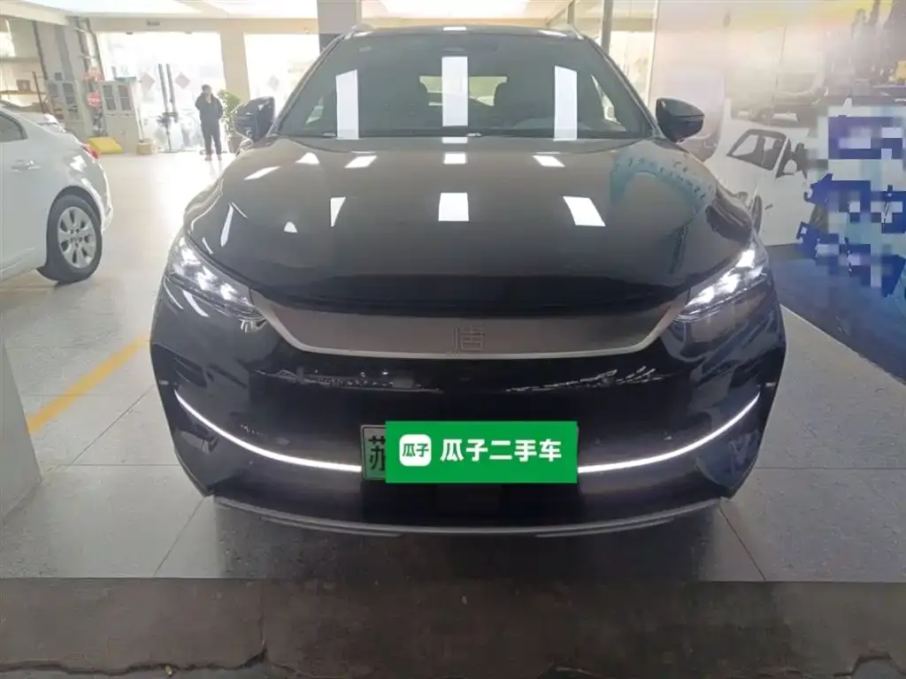 BYD Tang New Energy 2022 из CN, фото 3