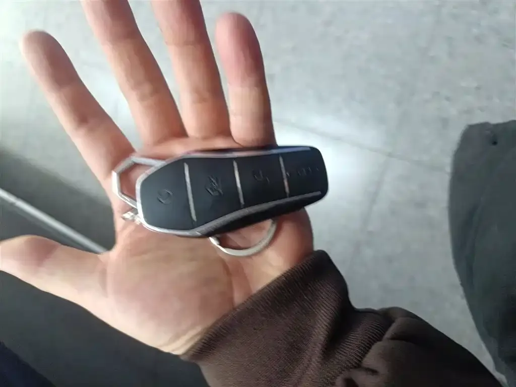 BYD Tang New Energy 2022 из CN, фото 9
