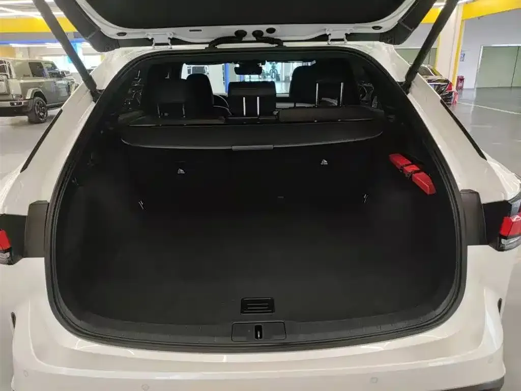 Lexus RX 2024 из CN, фото 8