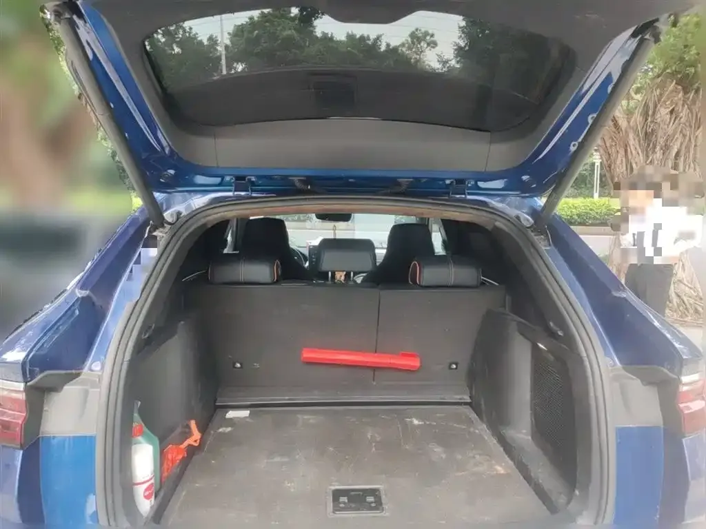 BYD PLUS New Energy 2023 из CN, фото 10
