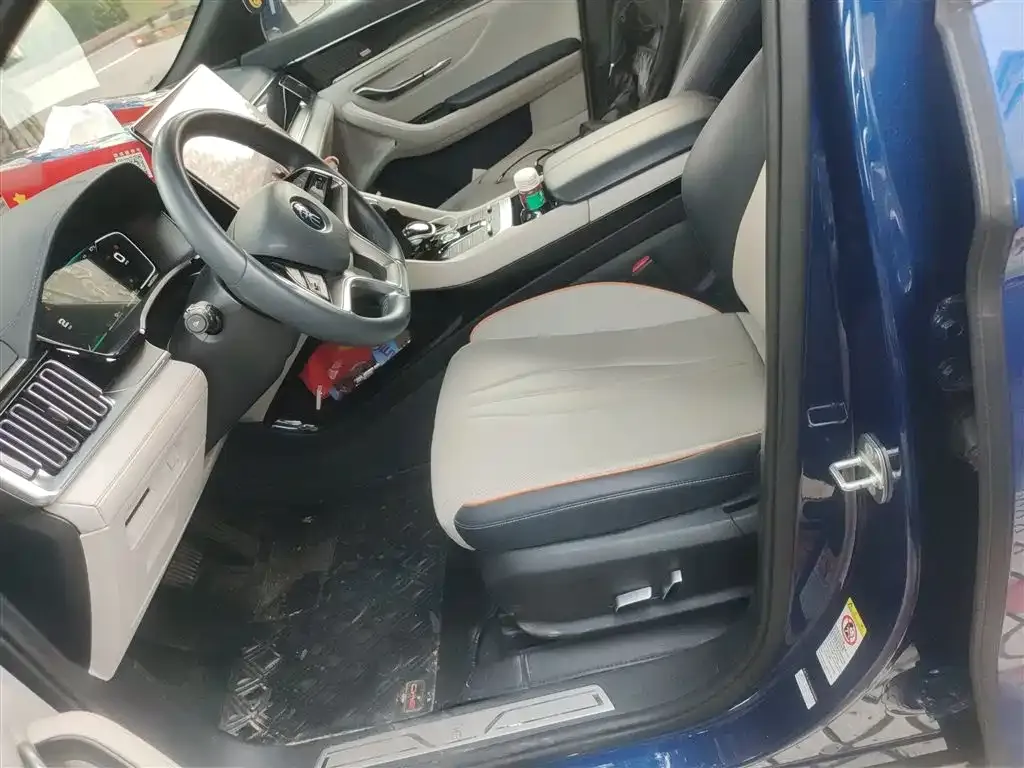 BYD PLUS New Energy 2023 из CN, фото 8