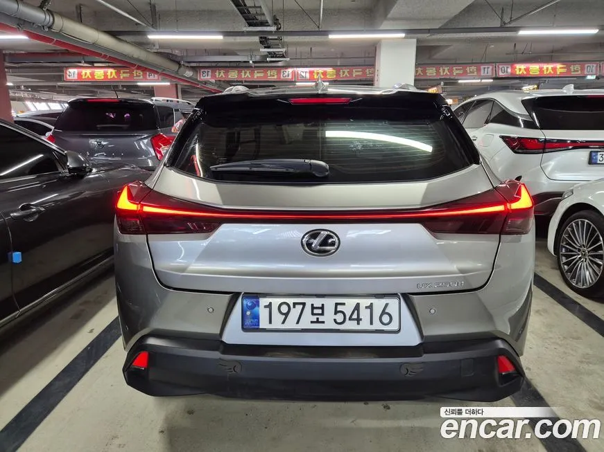 Lexus UX 2024 из KR, фото 4