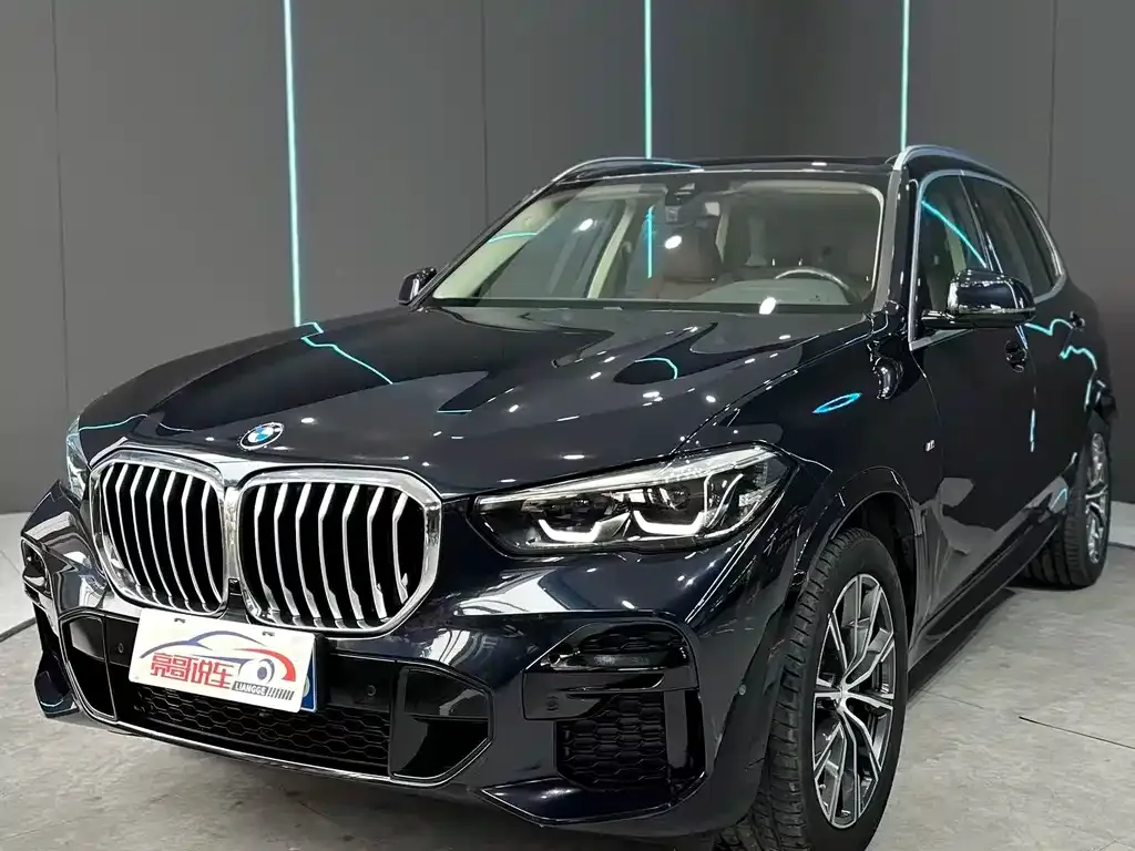 BMW X5 (Import) 2021 из CN, фото 1