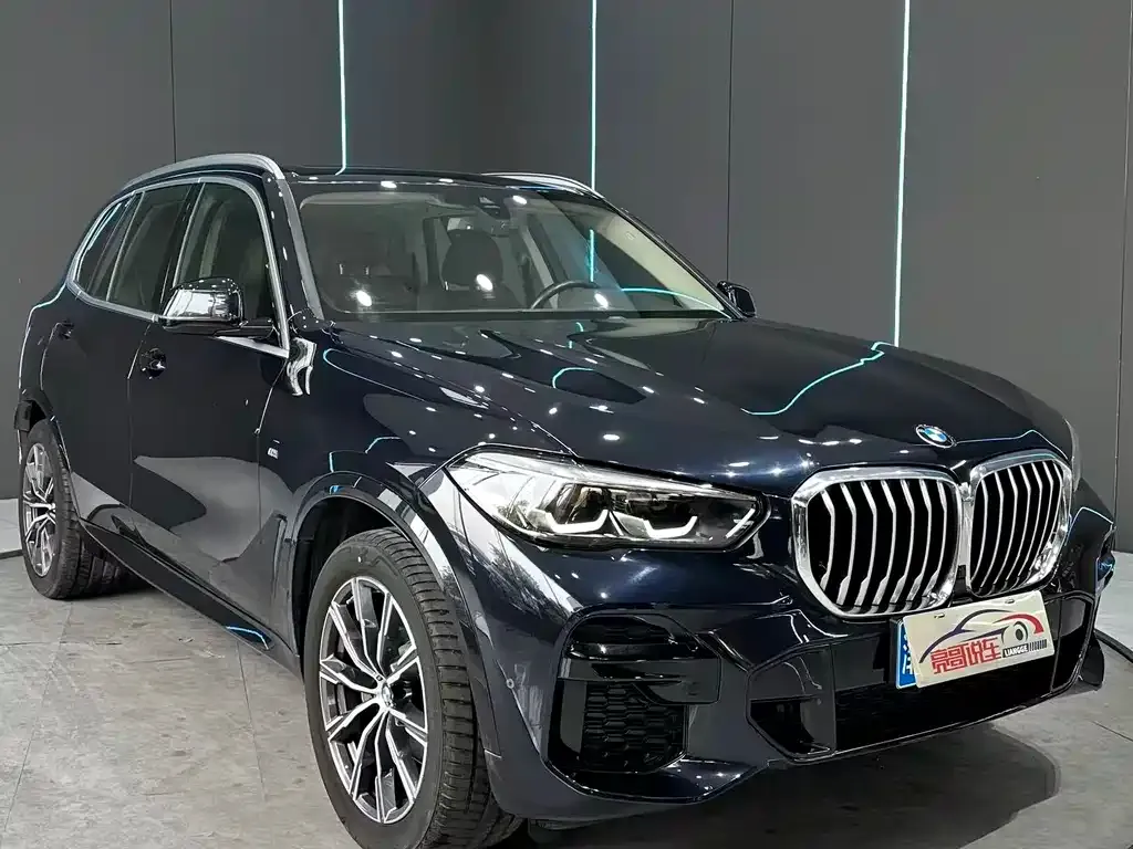 BMW X5 (Import) 2021 из CN, фото 3