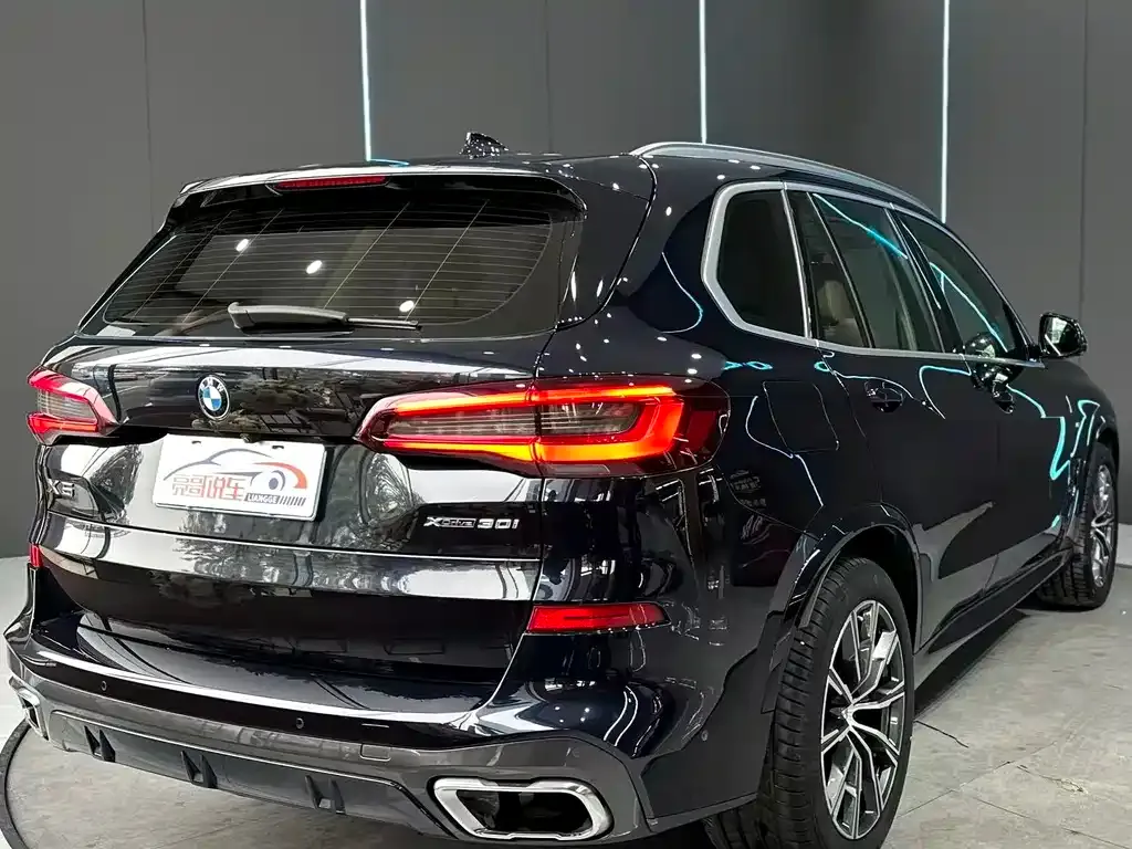 BMW X5 (Import) 2021 из CN, фото 7