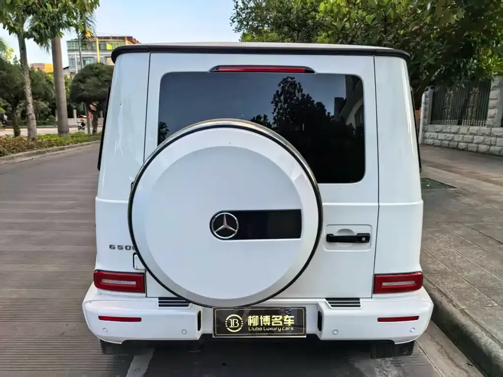Mercedes-Benz G-Class 2023 из CN, фото 2