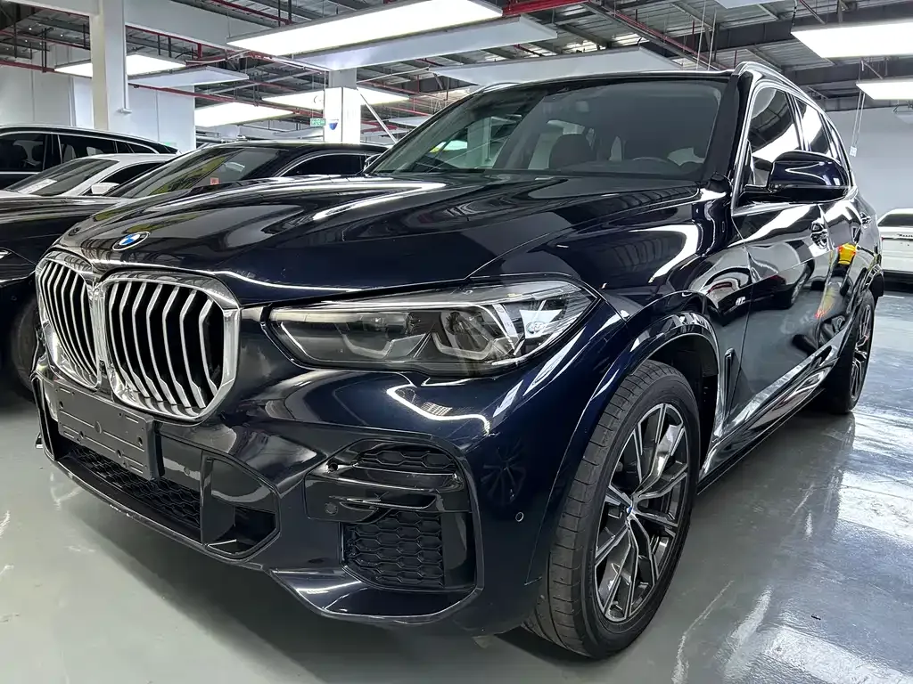 BMW X5 (Import) — фото 1