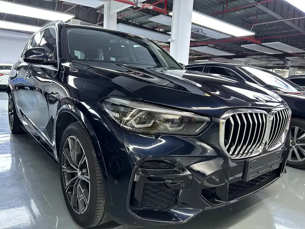BMW X5 (Import) — фото 3