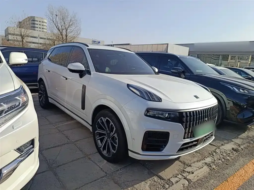 Lynk & Co 09 EM-P 2024 из CN, фото 4