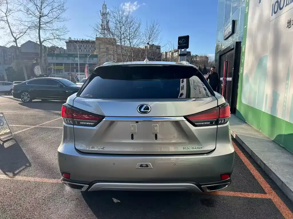 Lexus RX 2022 из CN, фото 4