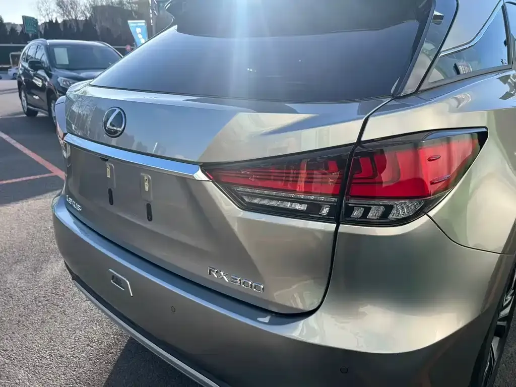 Lexus RX 2022 из CN, фото 6