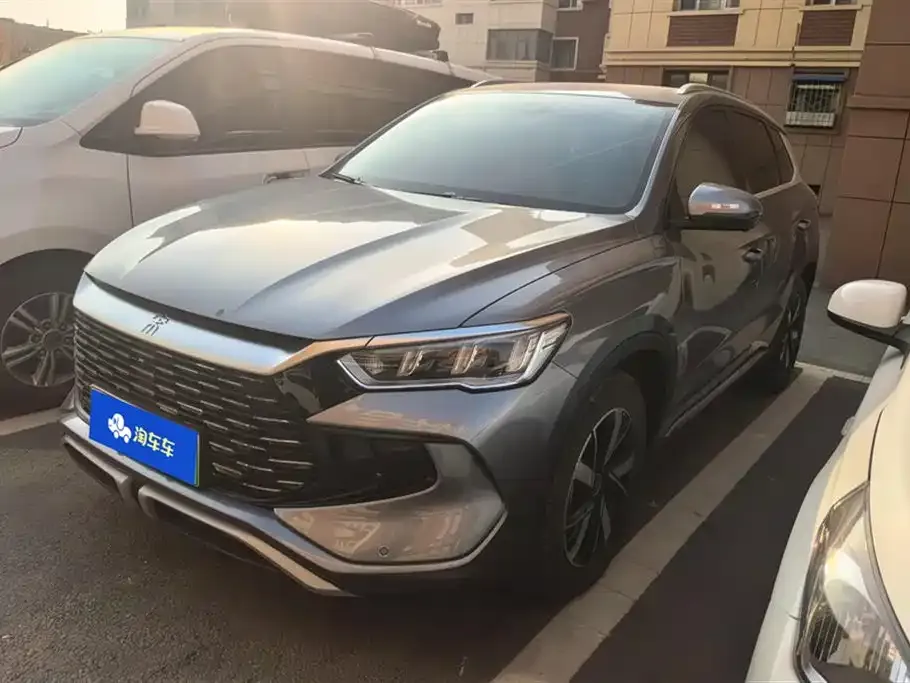 BYD Pro New Energy 2024 из CN, фото 1