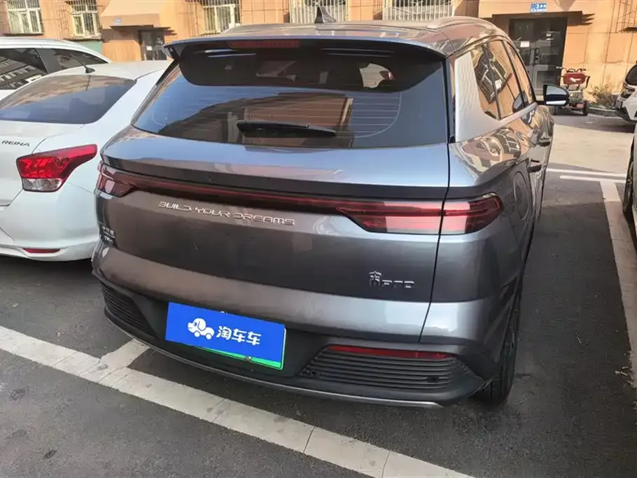 BYD Pro New Energy 2024 из CN, фото 3
