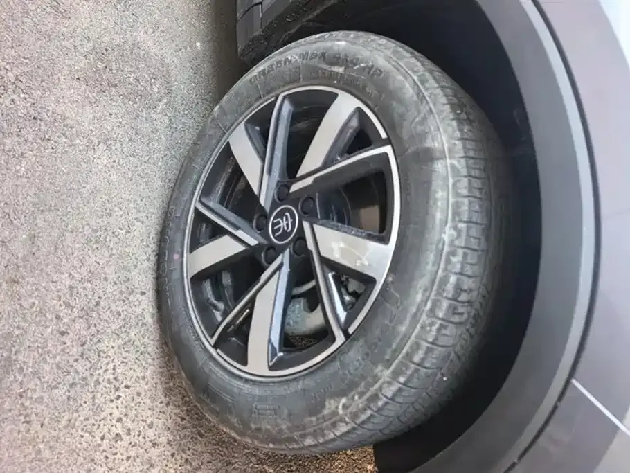 BYD Pro New Energy 2024 из CN, фото 6